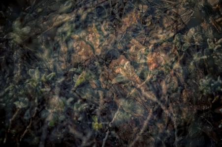 _AFP6063_7694_7738_7745_7746_7769_kopiakopiaHDR