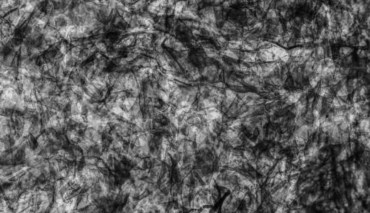 _DSC1359-Pano